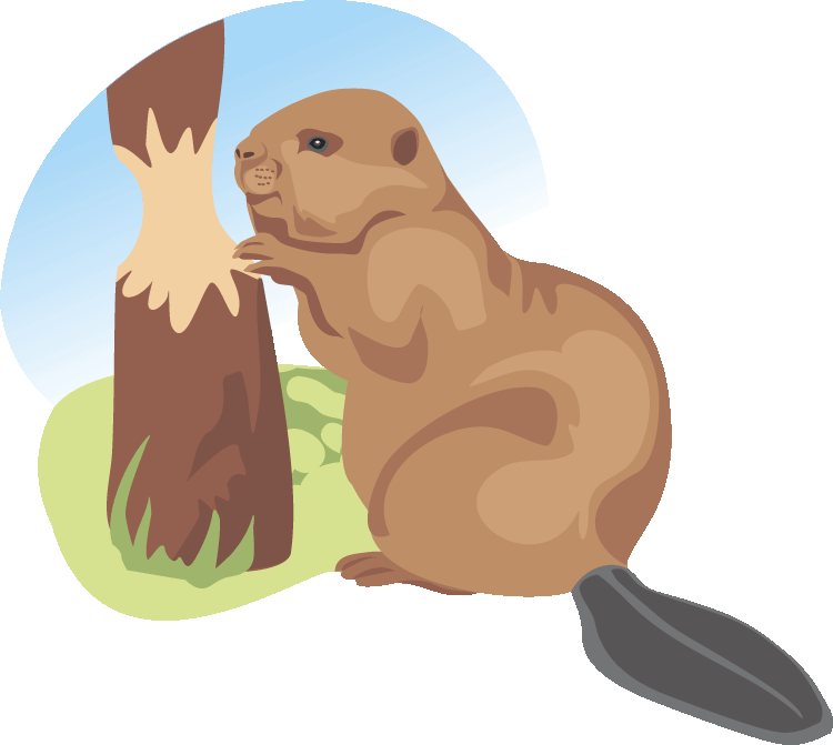 Free Beaver Clipart