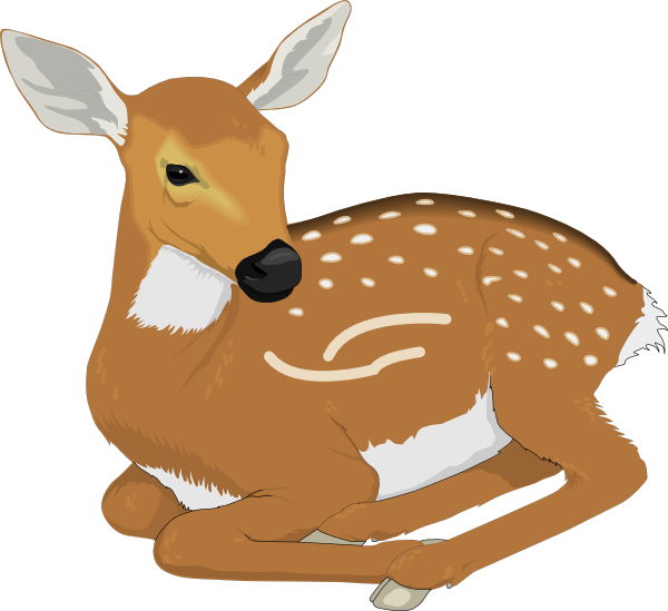 Free Deer Clipart