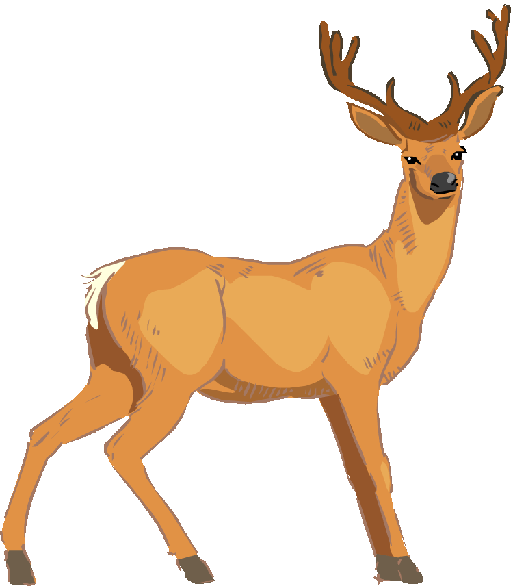 free deer hunting clipart images - photo #23