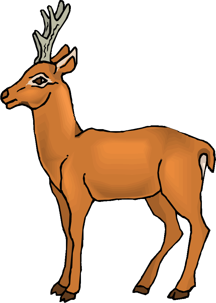 free clipart of deer - photo #6