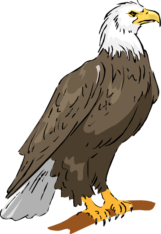 free eagle head clipart - photo #45