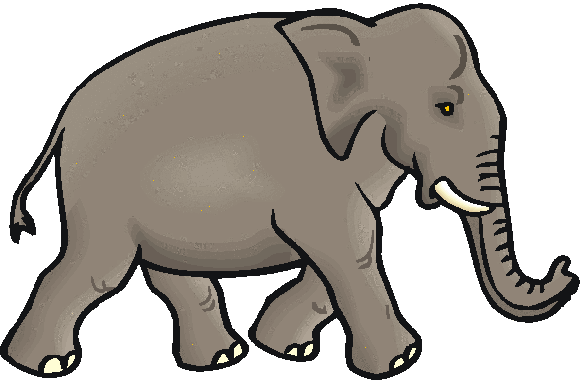 free elephant in the room clipart - photo #33