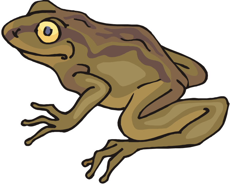 free clip art frogs animated - photo #38
