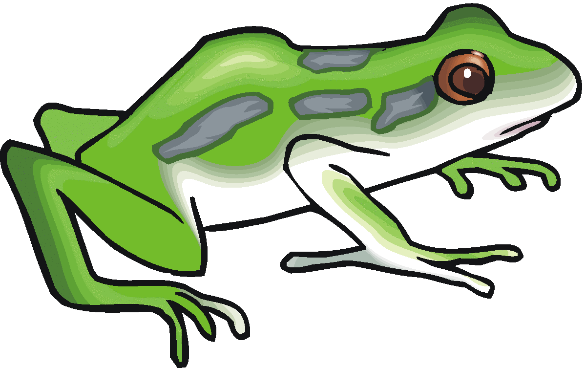 clipart of a frog - photo #29