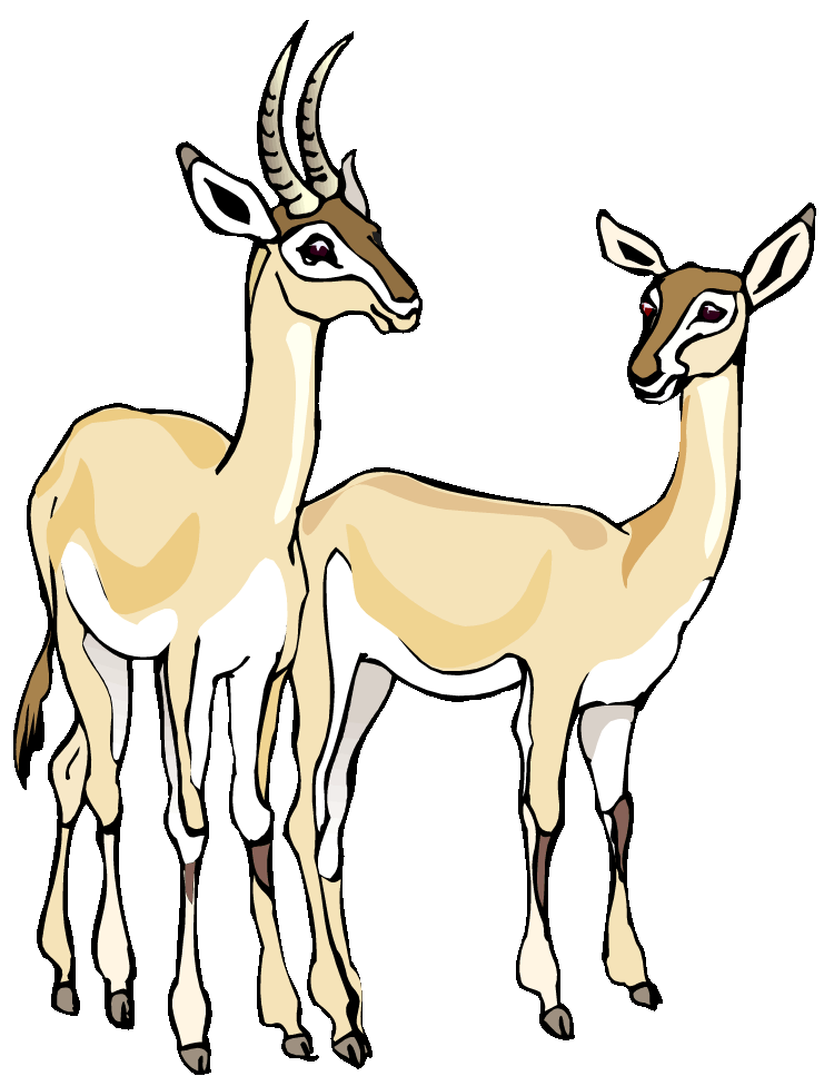 Free Gazelle Clipart