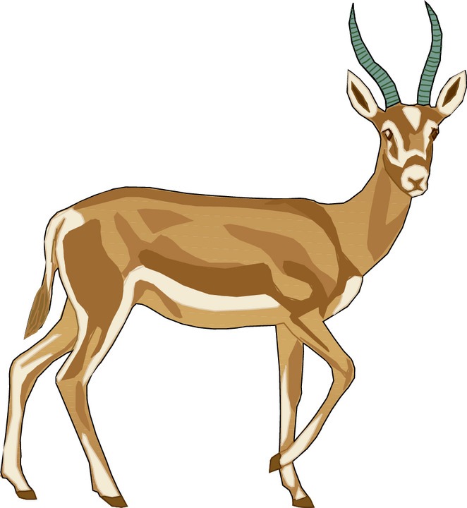 Free Gazelle Clipart