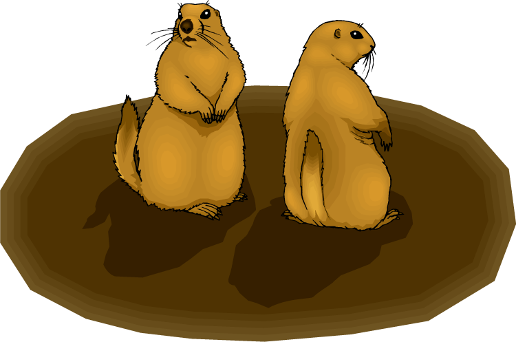 Free Groundhog Clipart