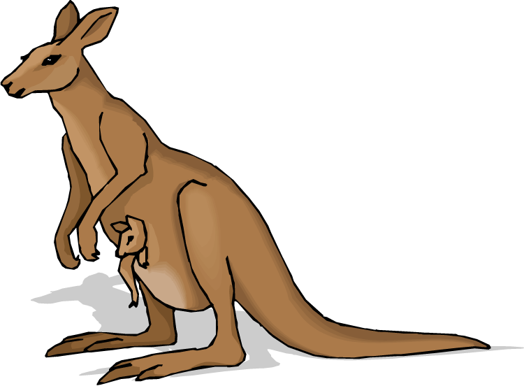 free cartoon kangaroo clipart - photo #11