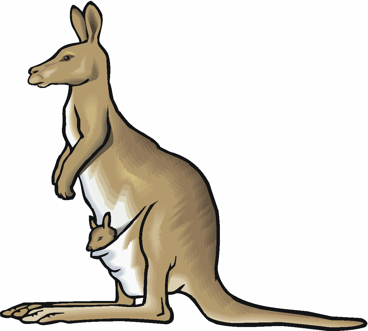 clipart picture of a kangaroo - photo #3