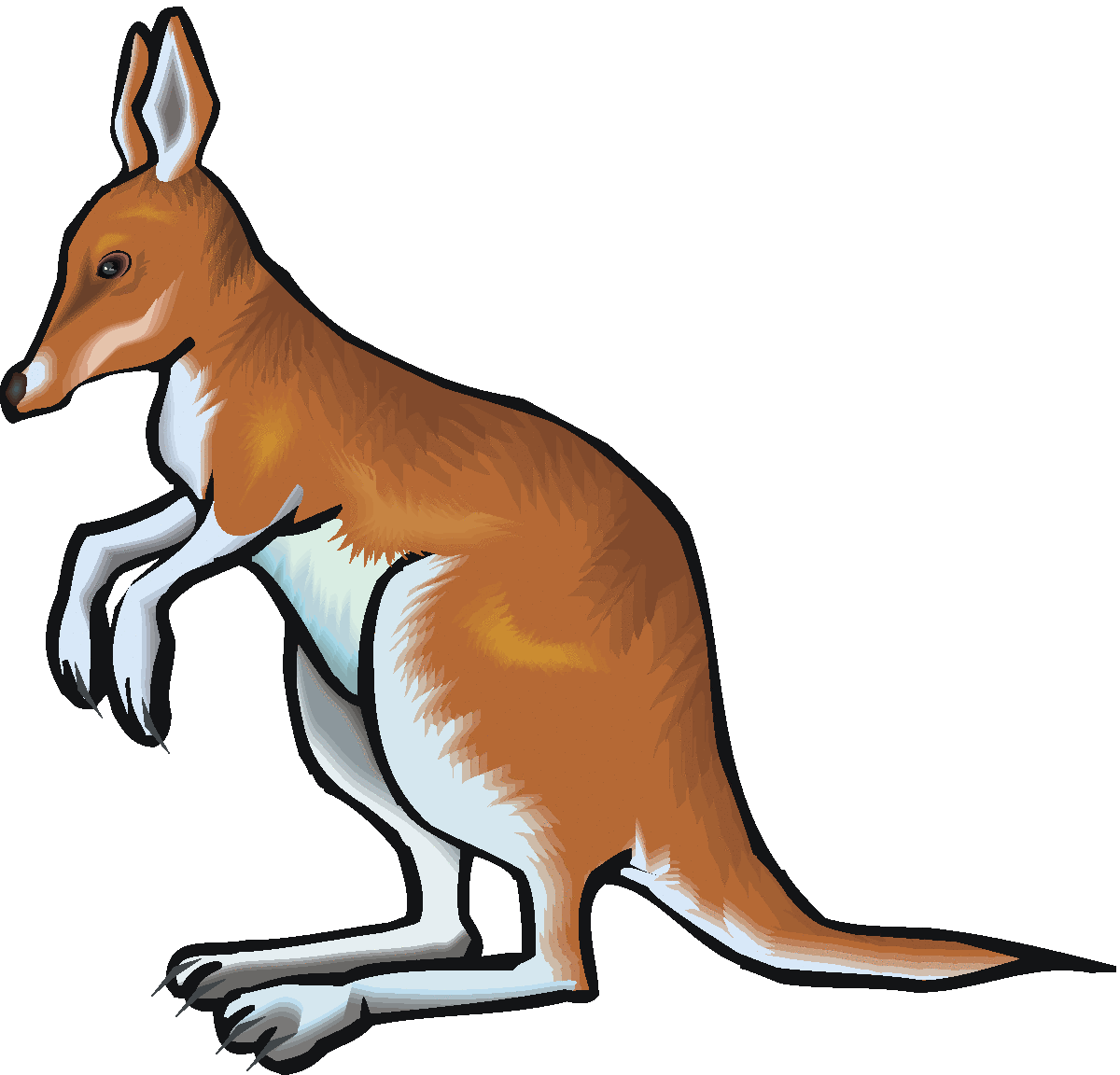 clipart kangaroo cartoon - photo #28