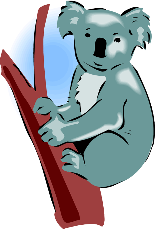 clipart pictures of koalas - photo #12