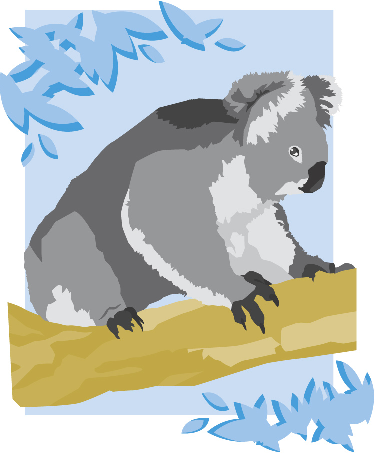 clipart pictures of koalas - photo #38