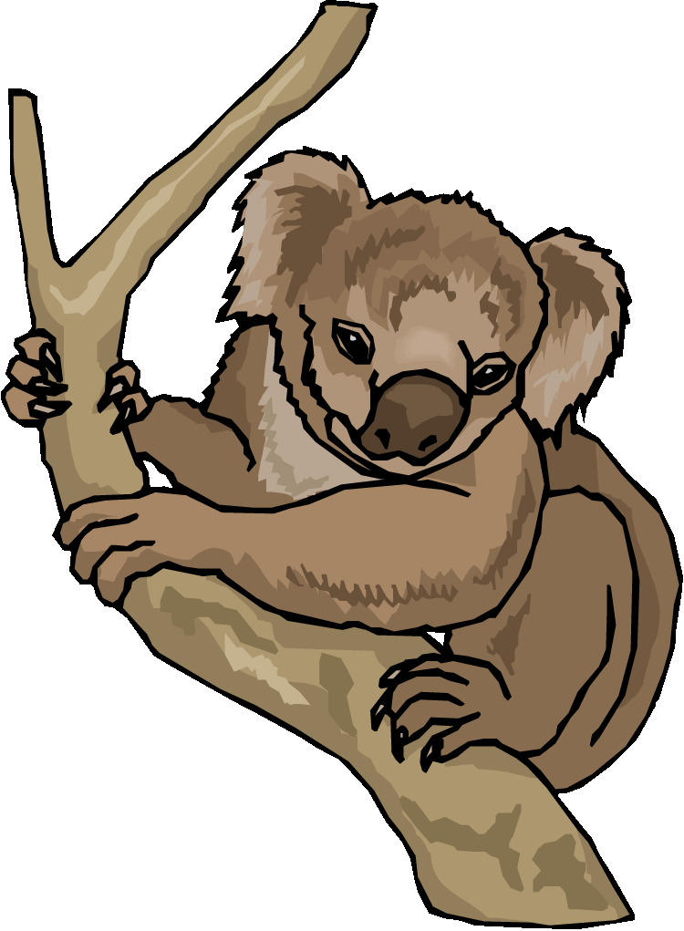 free clipart koala bear cartoon - photo #45