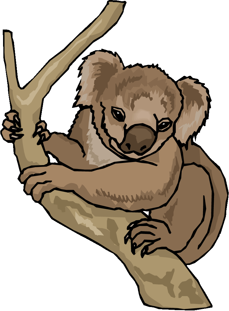 clipart of koala bear - photo #31