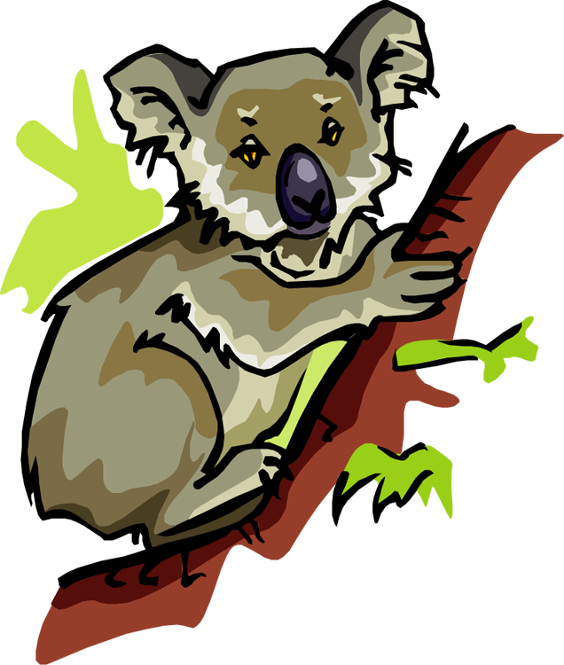 clipart of koala bear - photo #16