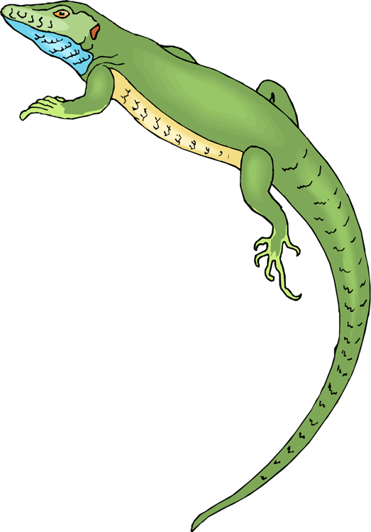 clipart pictures of lizards - photo #30