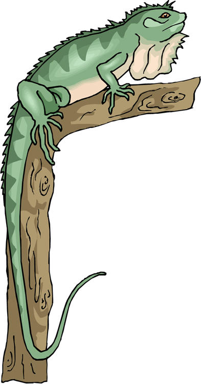 Free Lizard Clipart