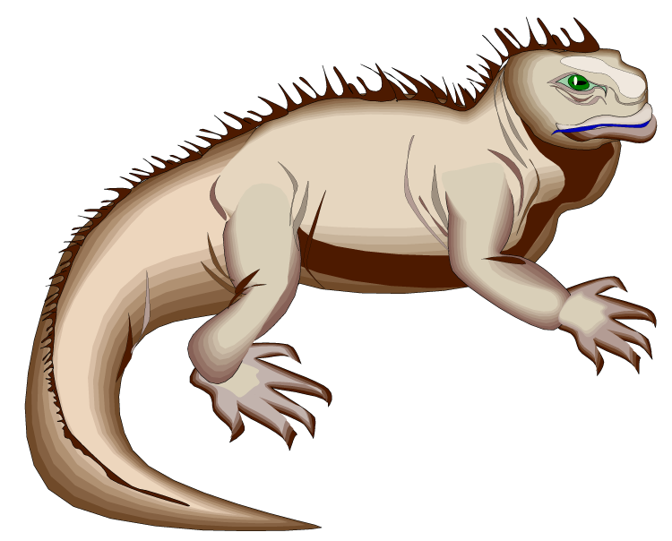 free clipart iguana - photo #22