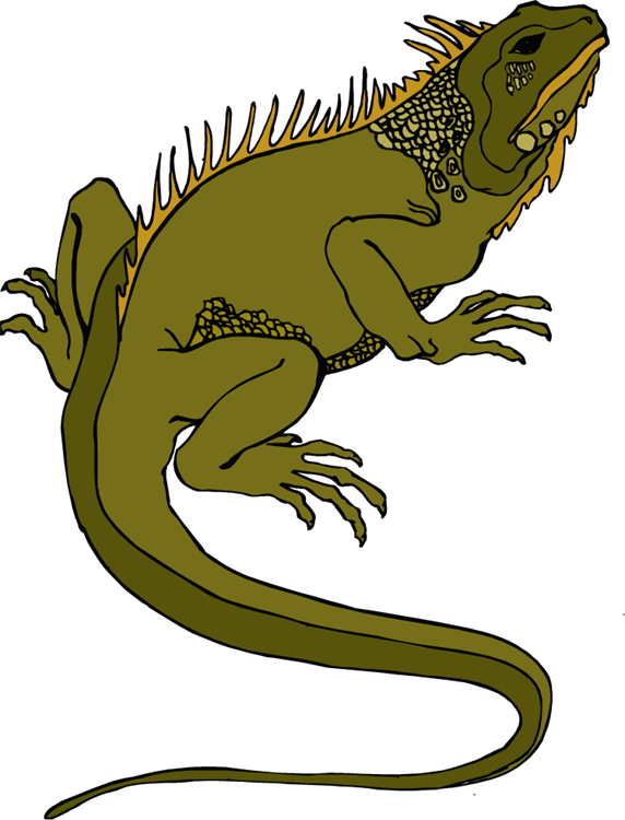 clipart iguana - photo #17