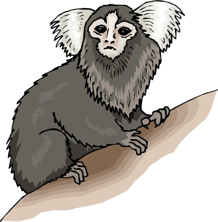 Free Monkey Clipart