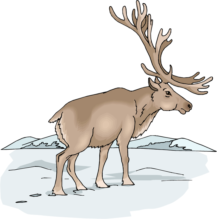 free baby moose clipart - photo #38