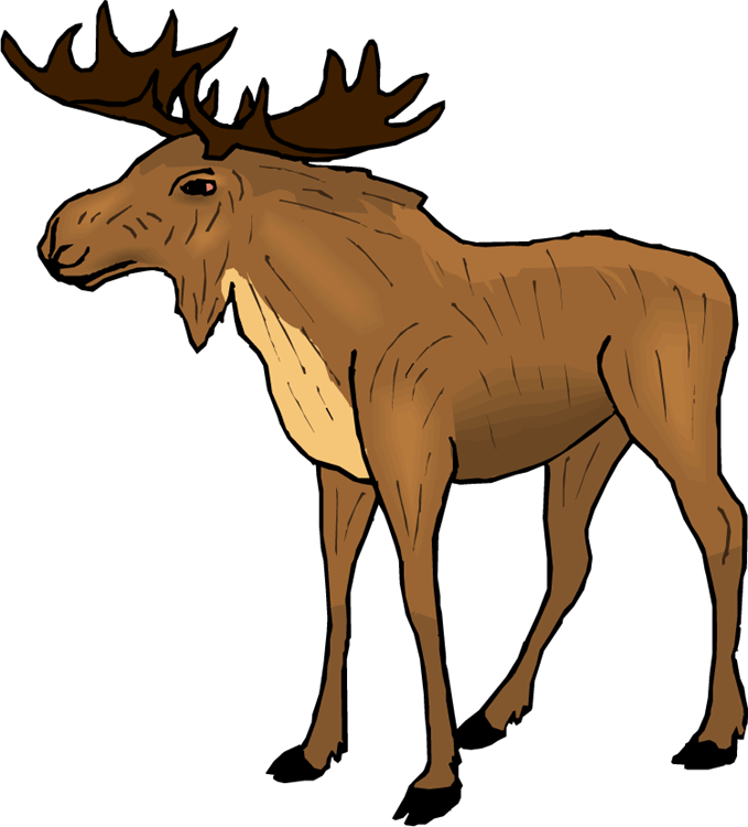 funny moose clipart - photo #14