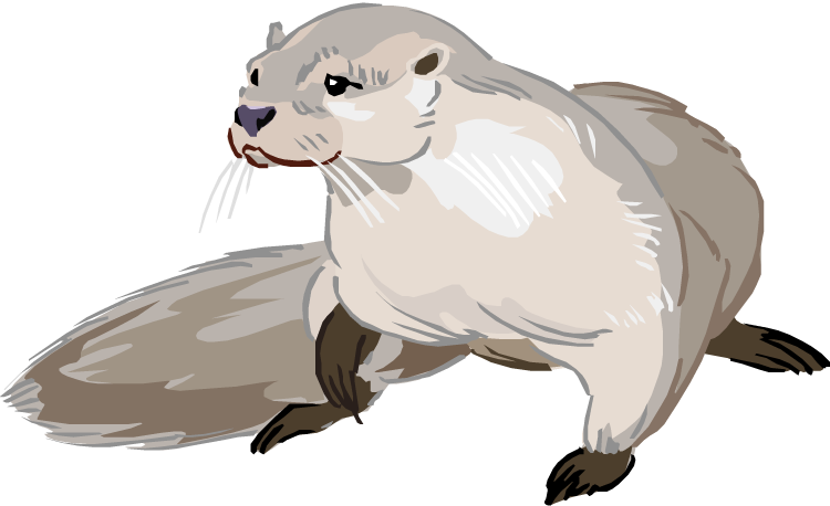 river otter clipart - photo #17