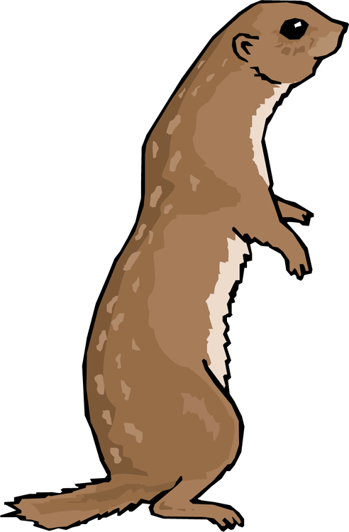 Free Otter Clipart