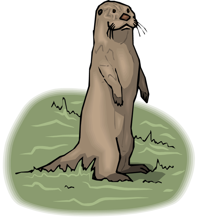 river otter clipart - photo #12