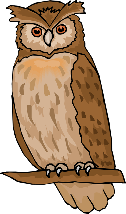 clipart barn owl - photo #39