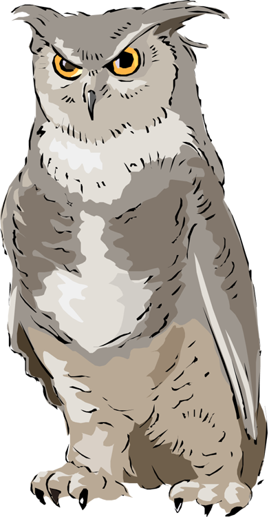 Free Owl Clipart