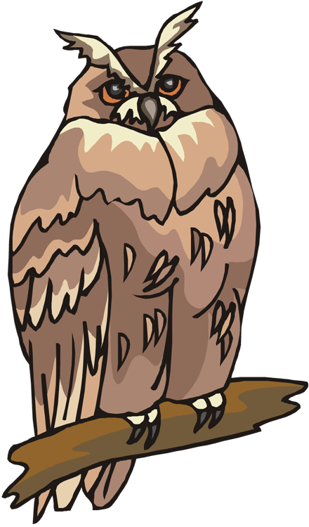 Free Owl Clipart