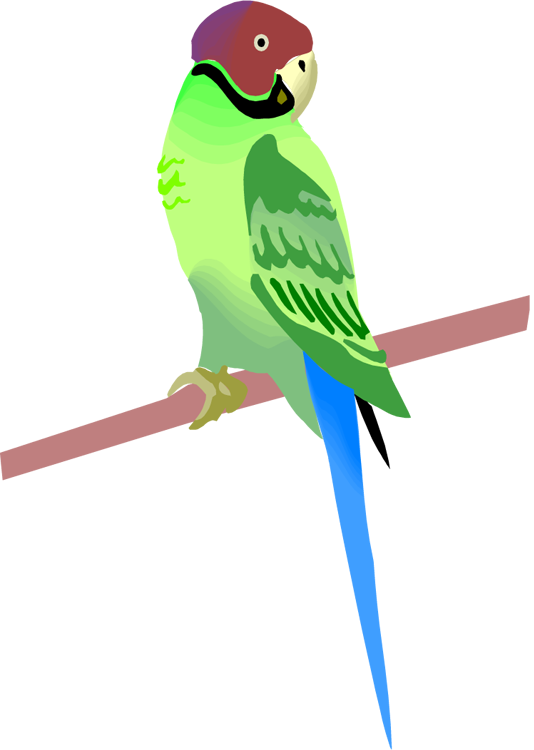 green parrot clipart - photo #12