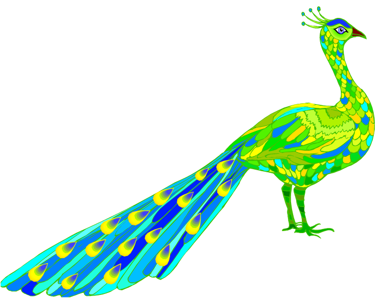 clipart images of peacock - photo #12