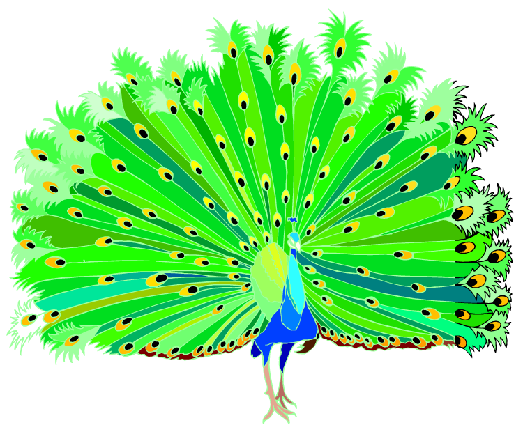 Free Peacock Clipart