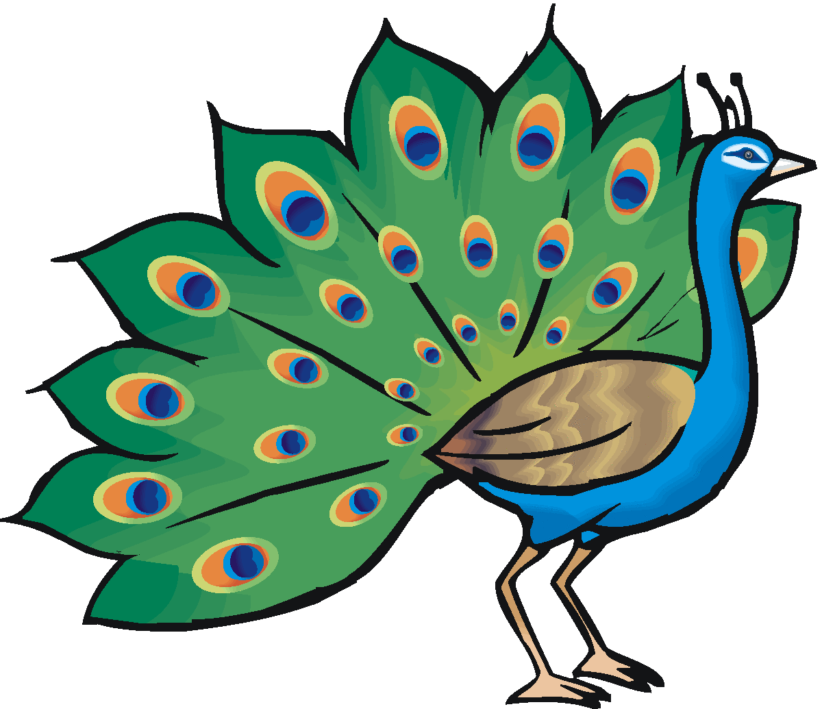 free black and white peacock clipart - photo #37