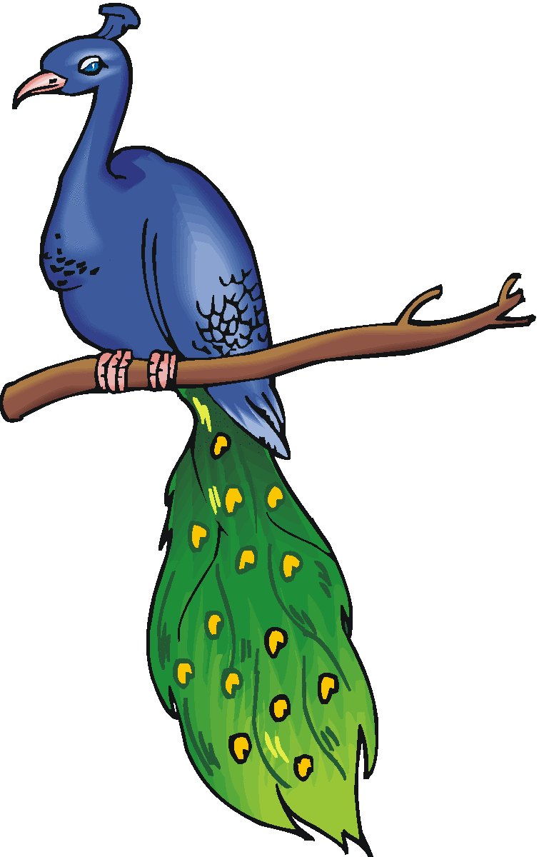 clipart pictures peacock - photo #34