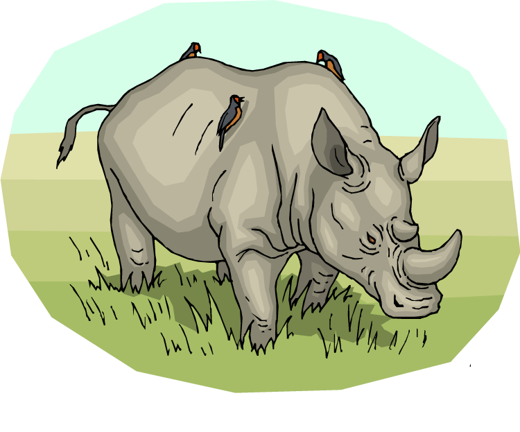 clipart rhino - photo #28