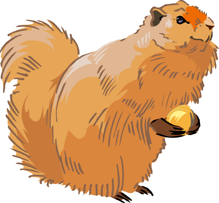 Free Squirrel Clipart