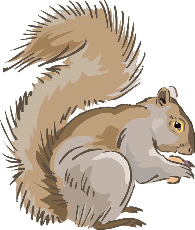 Free Squirrel Clipart