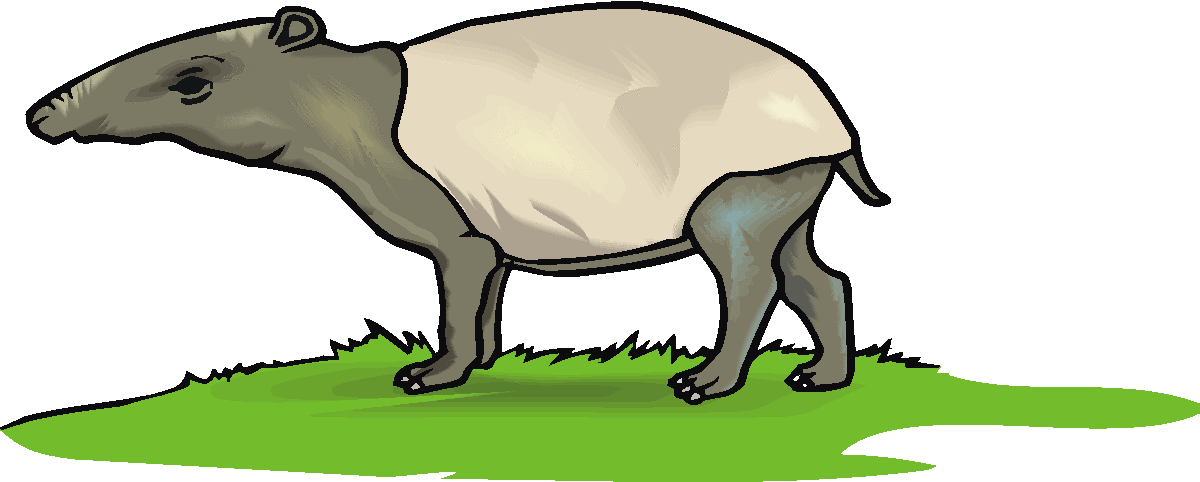 free clip art endangered animals - photo #30