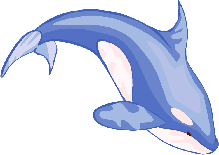 clipart of whale - photo #21