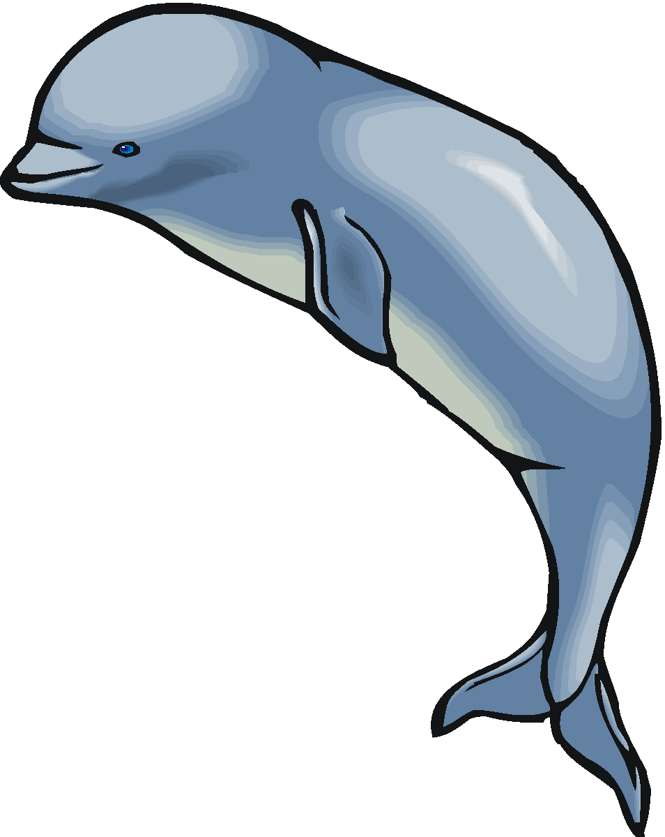 clipart whale - photo #47