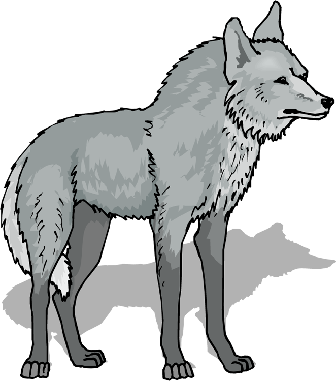 free cartoon wolf clipart - photo #16