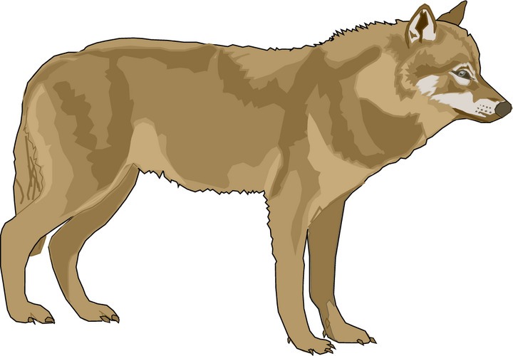 clipart of wolf - photo #3