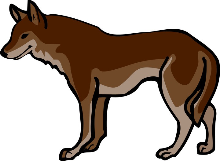 clipart of wolf - photo #34