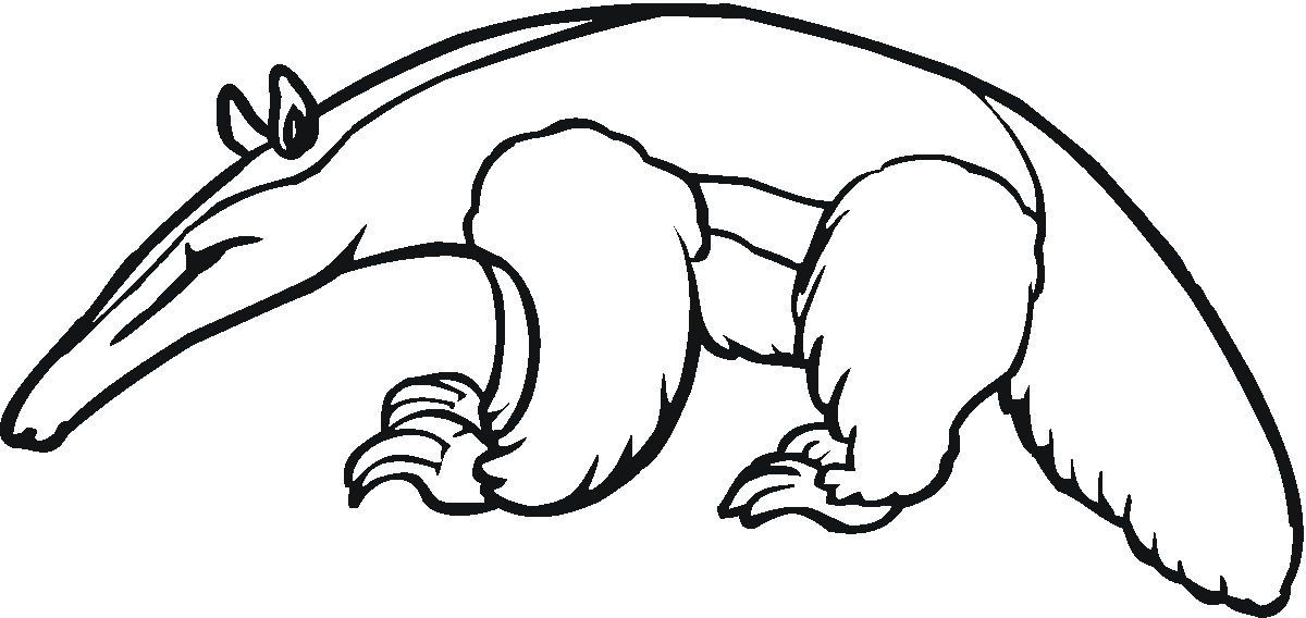 aardvark coloring pages - photo #18