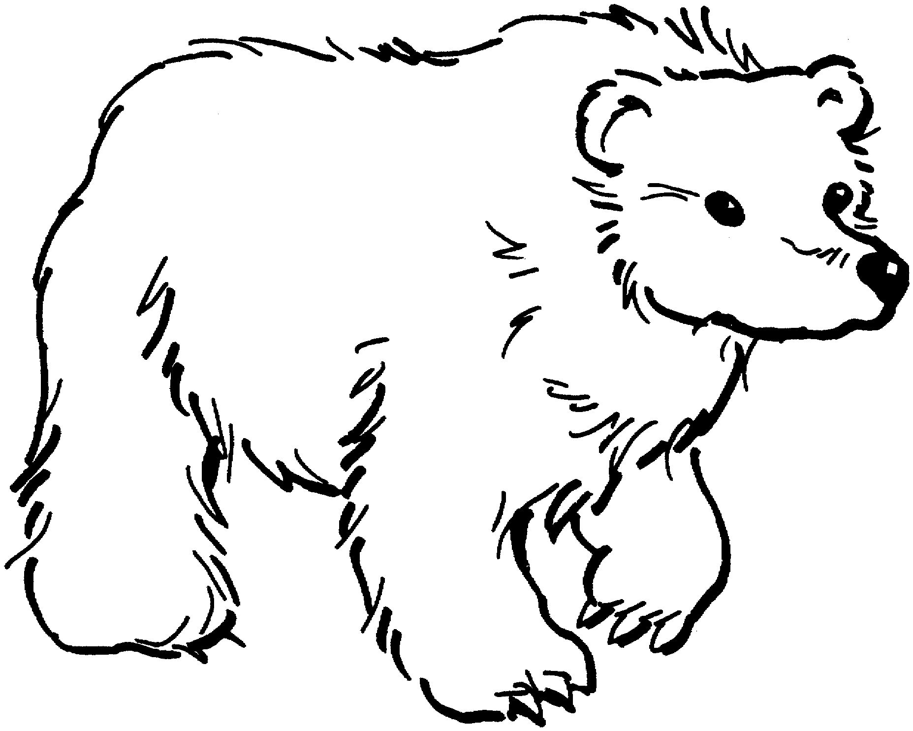 Free Bear Coloring Pages