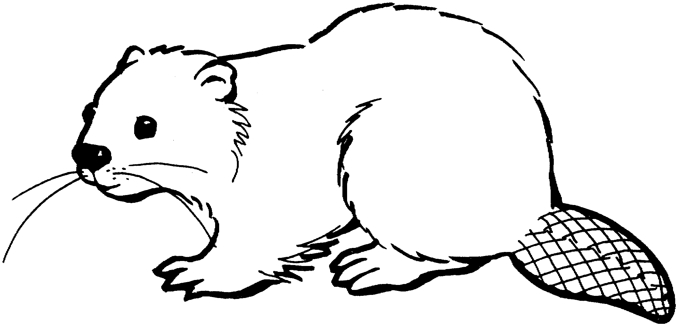 Free Beaver Coloring Pages