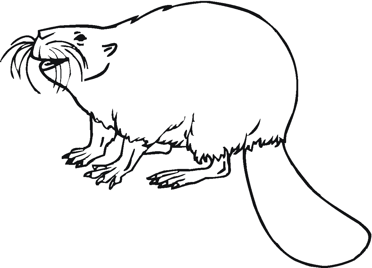 free-beaver-coloring-pages